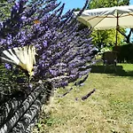 Sotto La Luna Bruna *