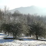 Oda ve Kahvaltı Sotto La Luna Bruna