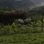Sotto La Luna Bruna Cocconato