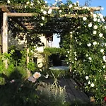 Sotto La Luna Bruna Couette-café *