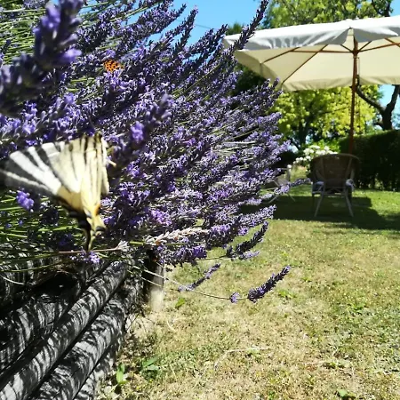 Sotto La Luna Bruna *