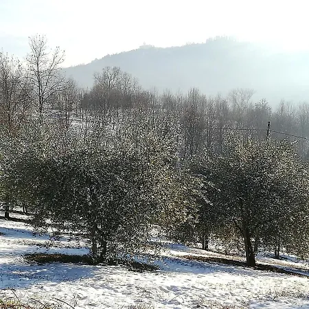 住宿加早餐酒店 Sotto La Luna Bruna