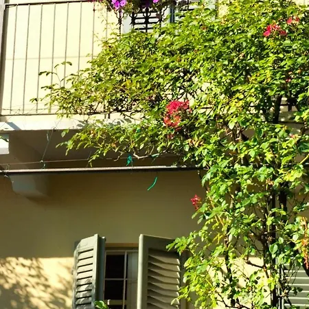 Sotto La Luna Bruna *