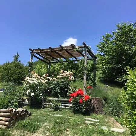 Sotto La Luna Bruna * Cocconato