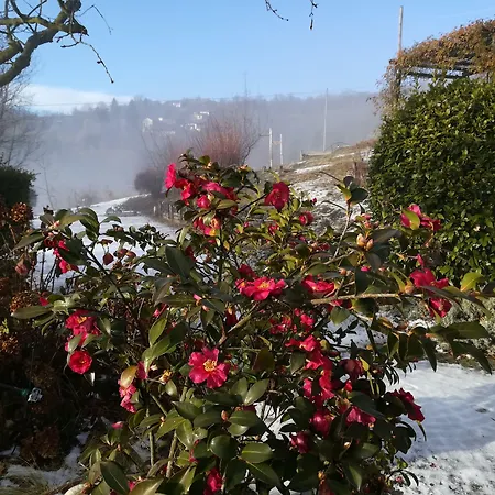 Sotto La Luna Bruna ベッド・アンド・ブレックファスト