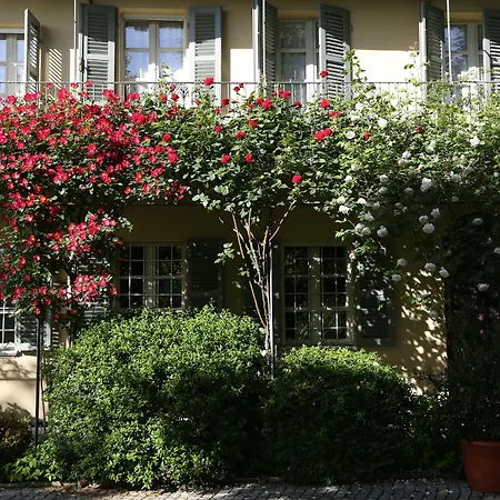 Sotto La Luna Bruna Bed & Breakfast