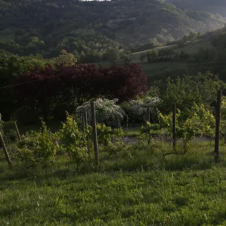 Sotto La Luna Bruna Cocconato