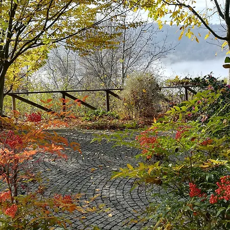 ベッド・アンド・ブレックファスト Sotto La Luna Bruna *