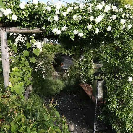 Sotto La Luna Bruna ベッド・アンド・ブレックファスト *