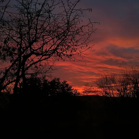 Sotto La Luna Bruna * Cocconato