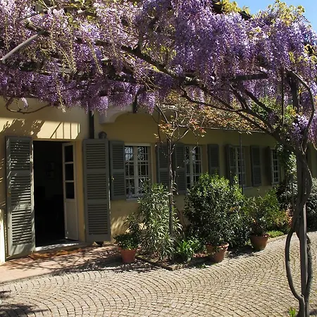 ベッド・アンド・ブレックファスト Sotto La Luna Bruna Cocconato