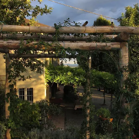 Sotto La Luna Bruna Cocconato