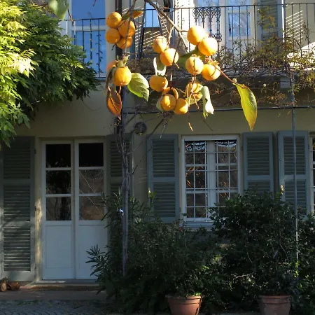 Sotto La Luna Bruna * Cocconato