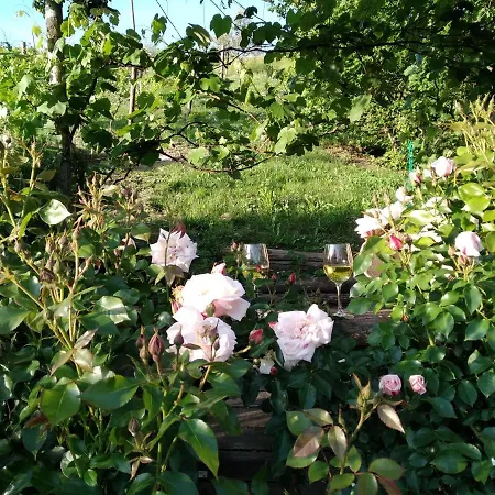 Sotto La Luna Bruna Cocconato