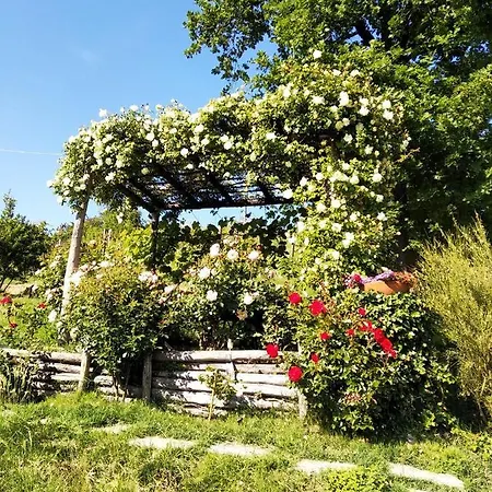 Sotto La Luna Bruna Cocconato