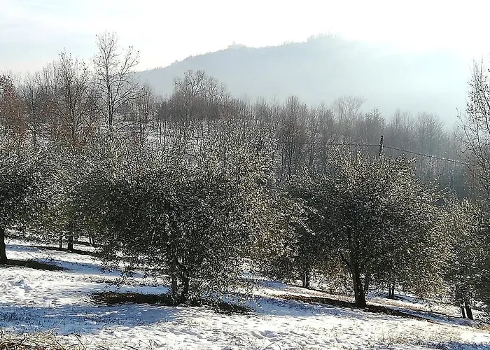 Bed & Breakfast Sotto La Luna Bruna