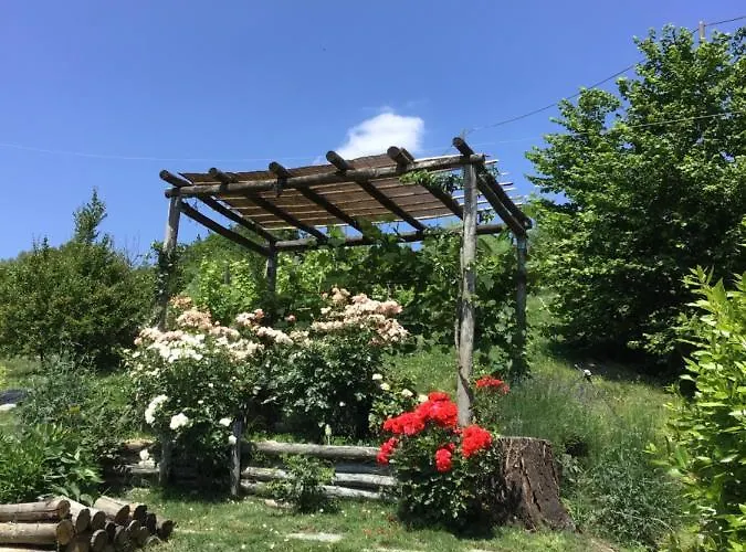 Sotto La Luna Bruna * Cocconato