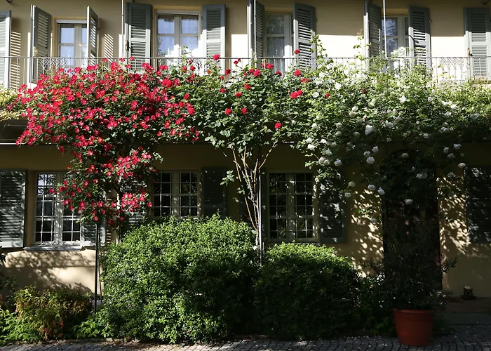 Sotto La Luna Bruna Bed & Breakfast