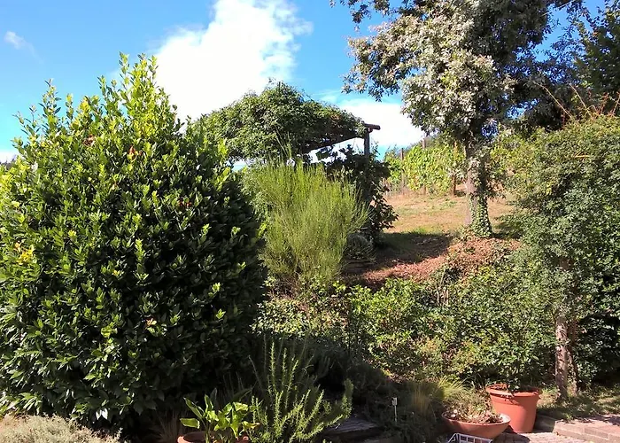 Sotto La Luna Bruna Bed & Breakfast