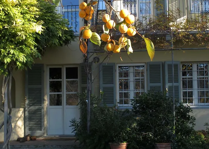 Sotto La Luna Bruna * Cocconato